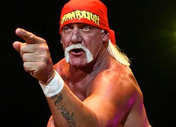 Hulk Hogan pointing finger