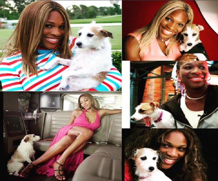Serena Williams pet dog