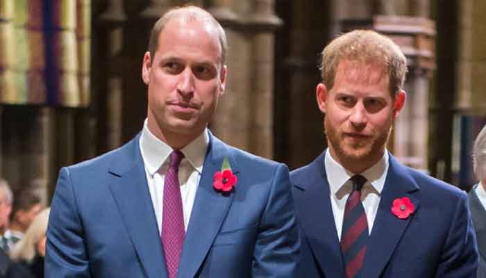 Prince Harry and William's bond