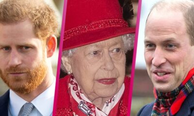 Prince Harry, the Queen and Prince William split