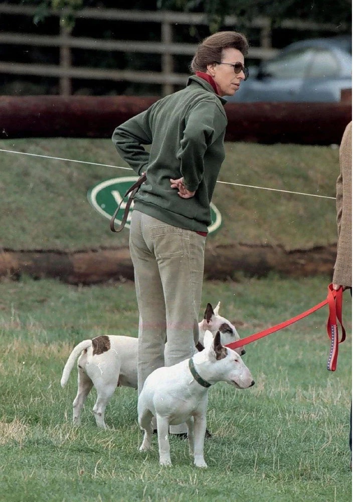 Princess Anne stands with her English bull terriers at her Gloucestershire, England home