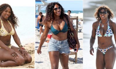 Serena Williams is a professional tennis player pic