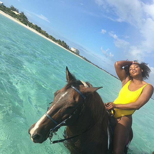 Serena Williams addresses giant horse .