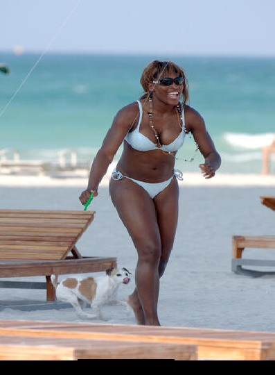 Serena Williams spends the day with an unidentified man on the beach in her bikini, with her dog